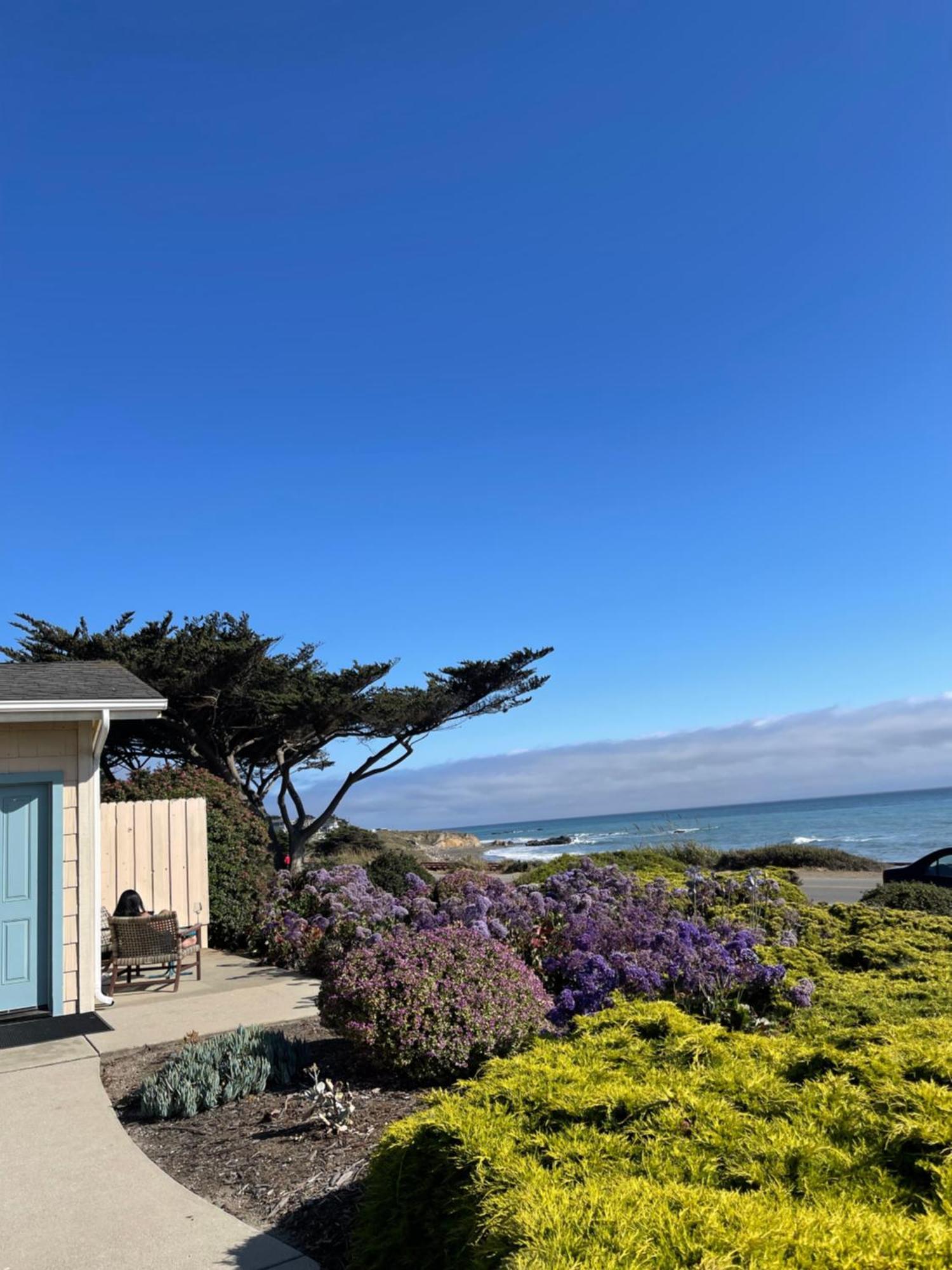 Cambria Landing Inn And Suites מראה חיצוני תמונה